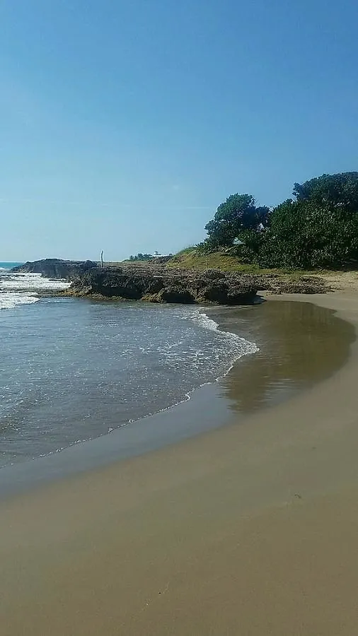 招待所 蒙特哥贝 Vikings Rasta Retreats酒店